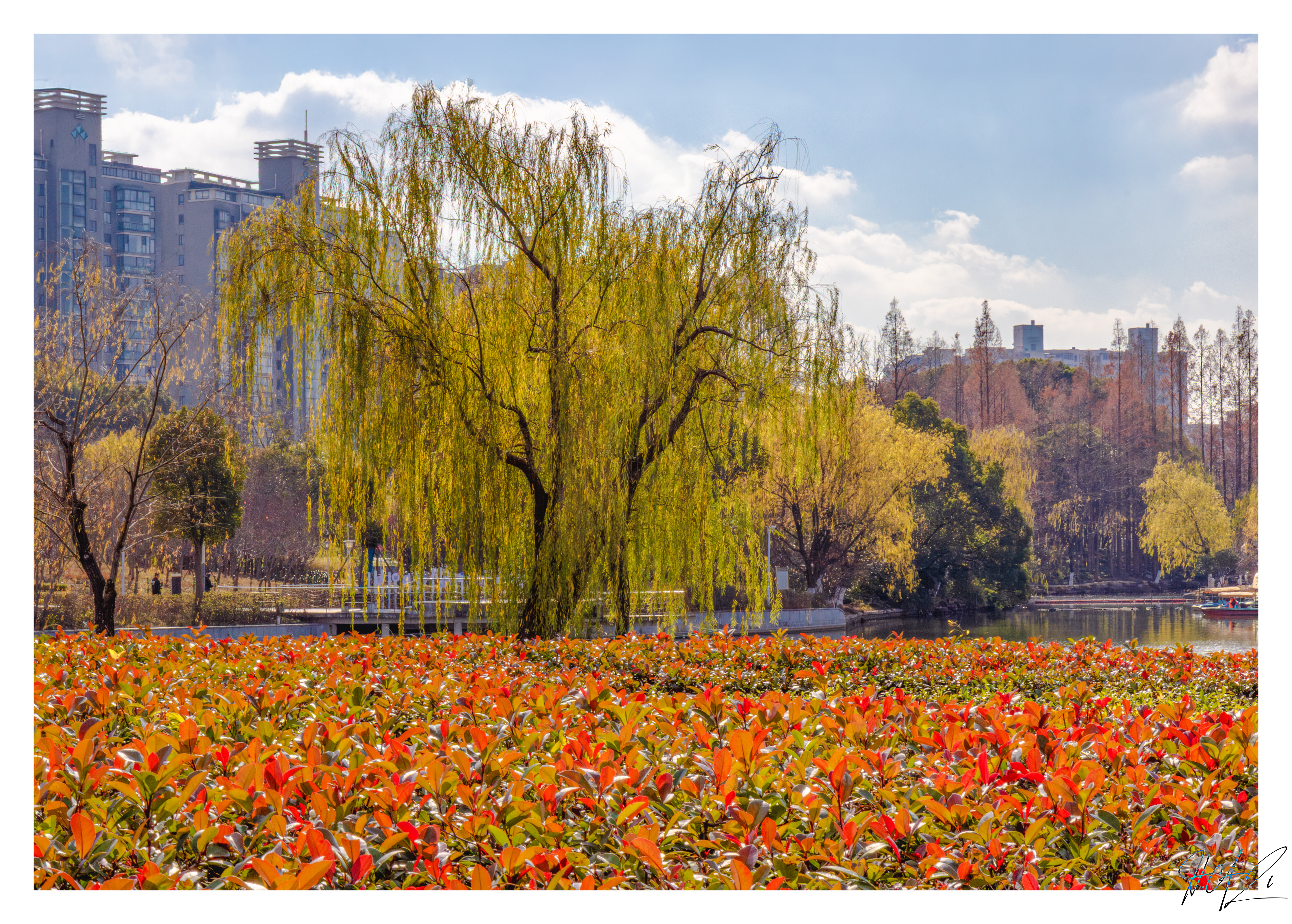 Summer Palace