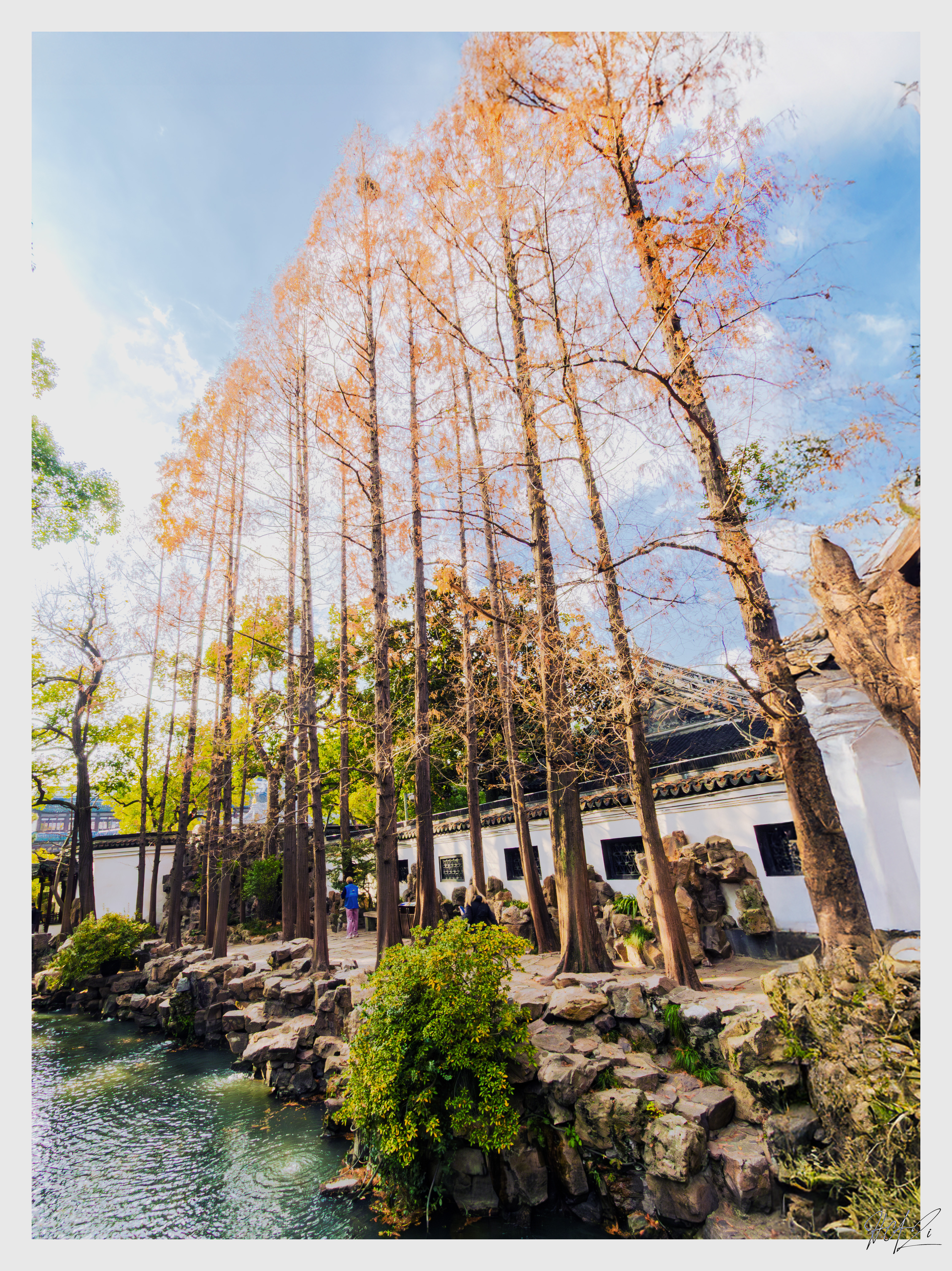 Summer Palace