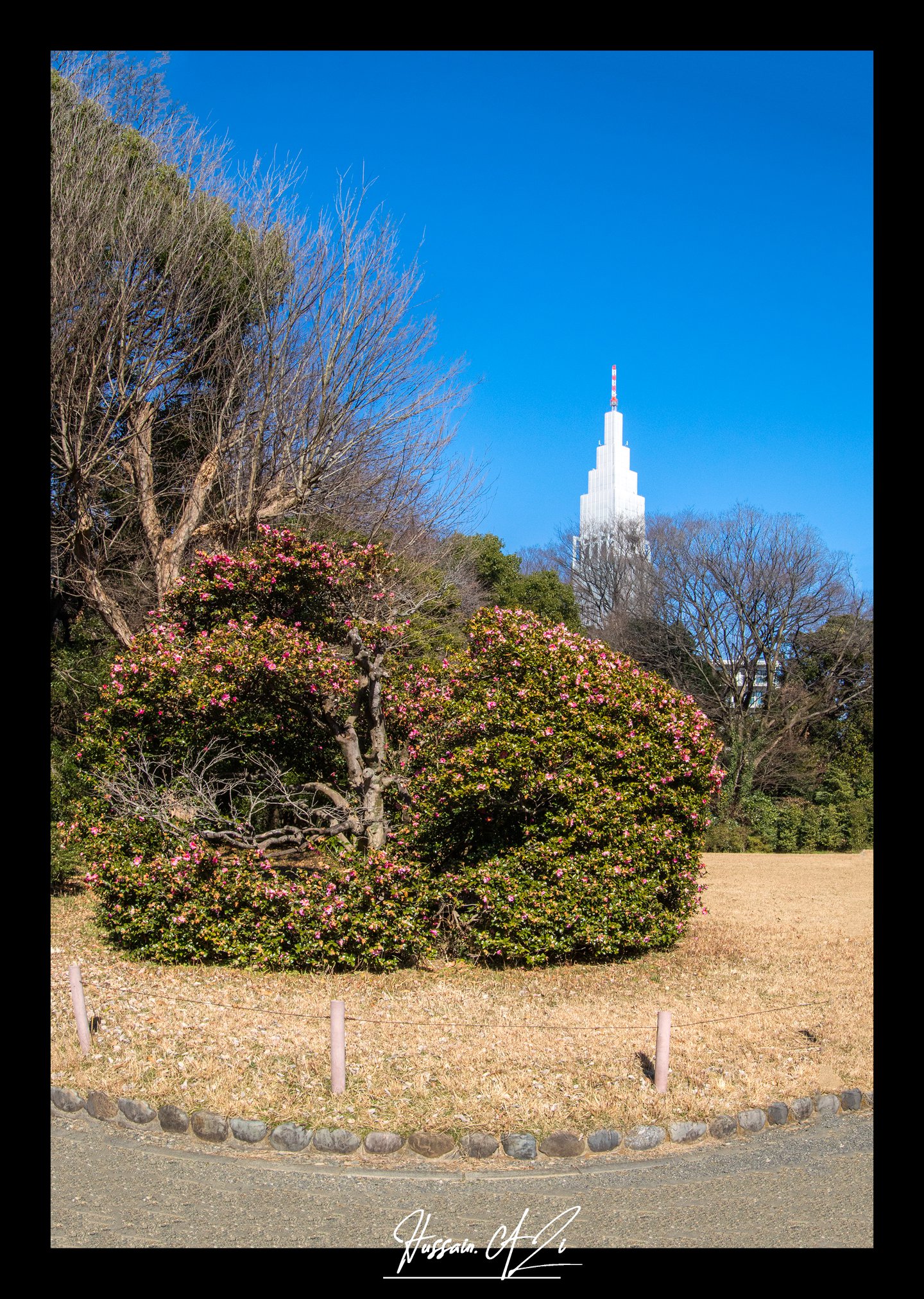 Japan Image 43