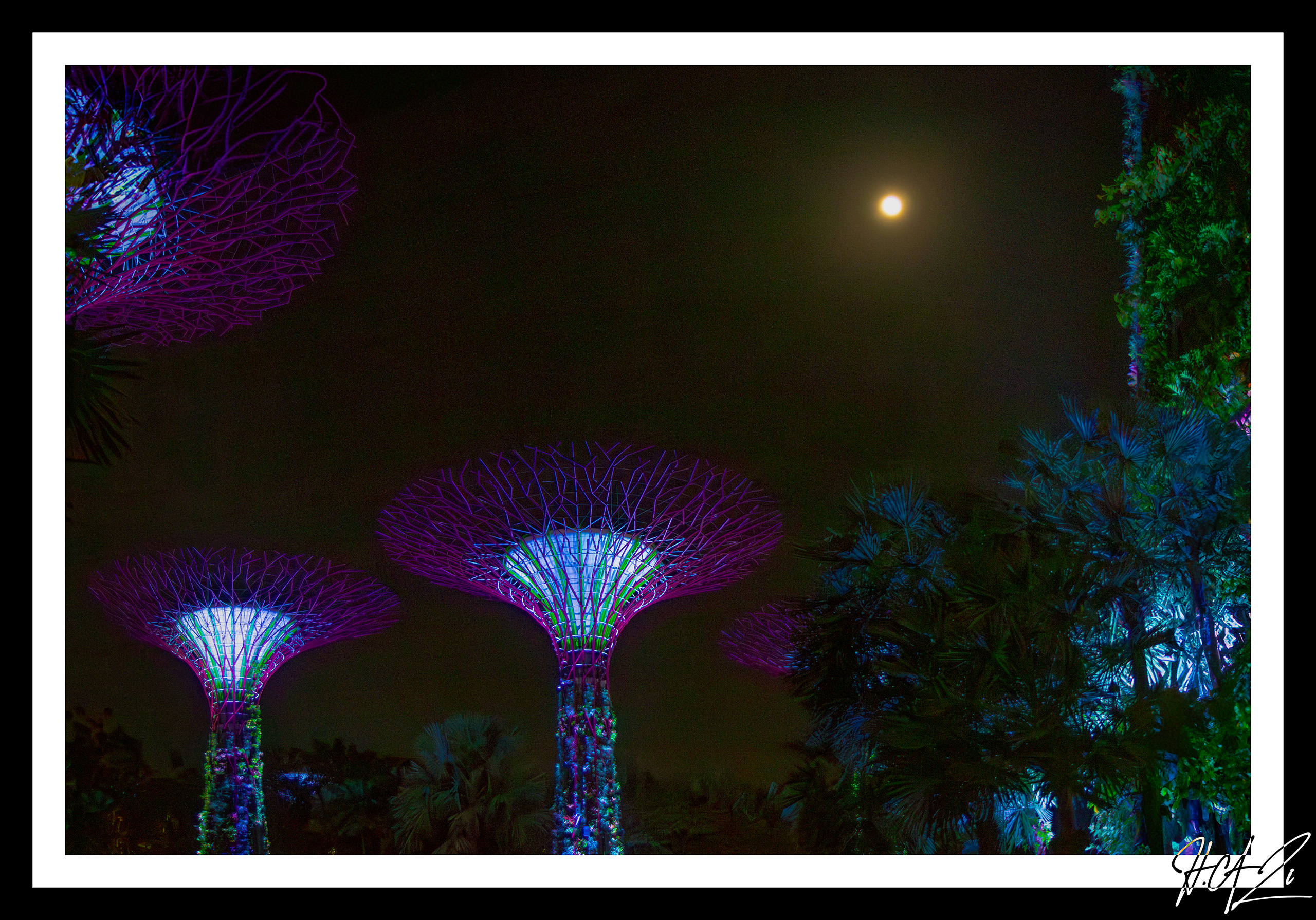 Singapore Image 10