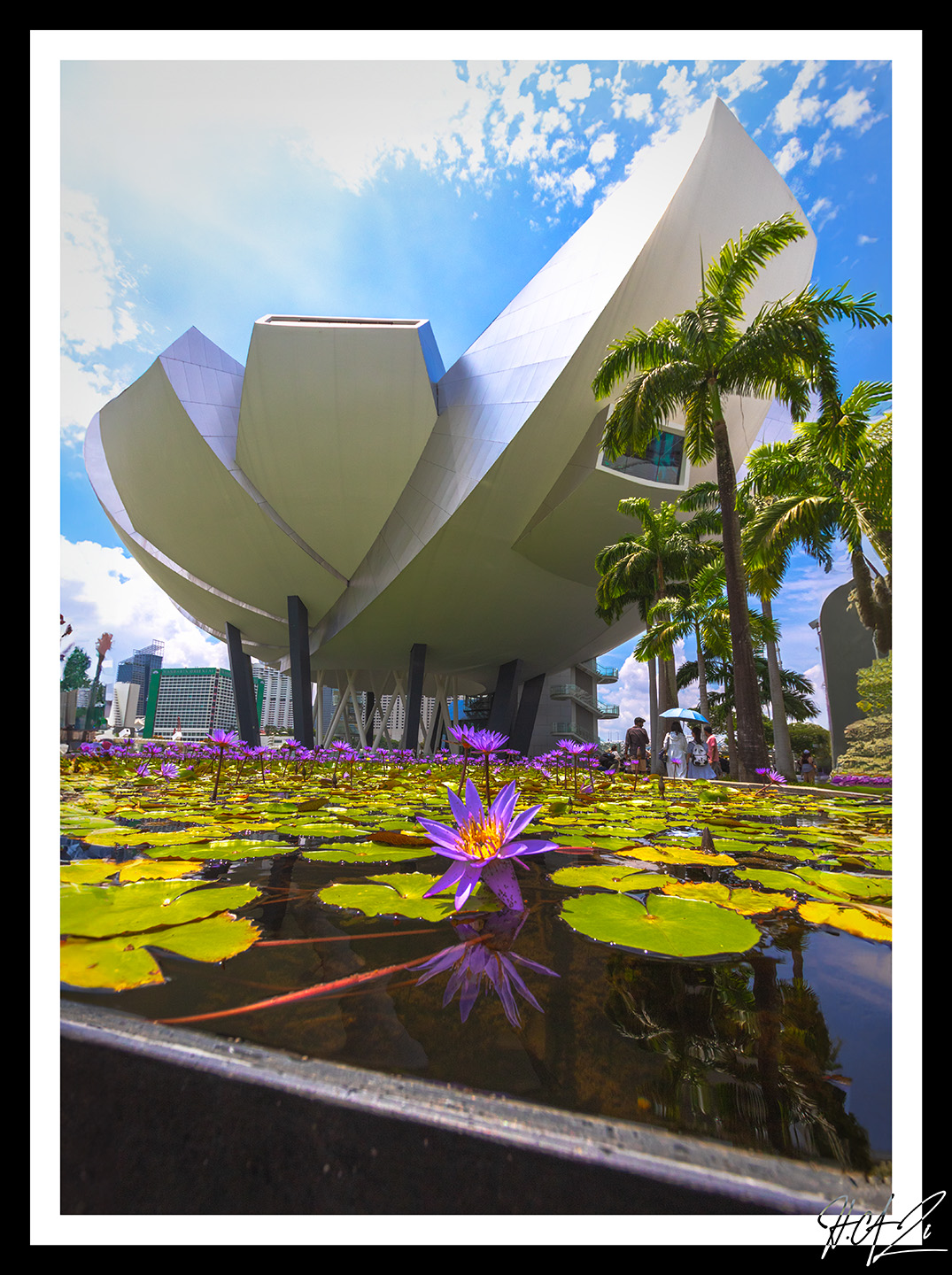 Singapore Image 12