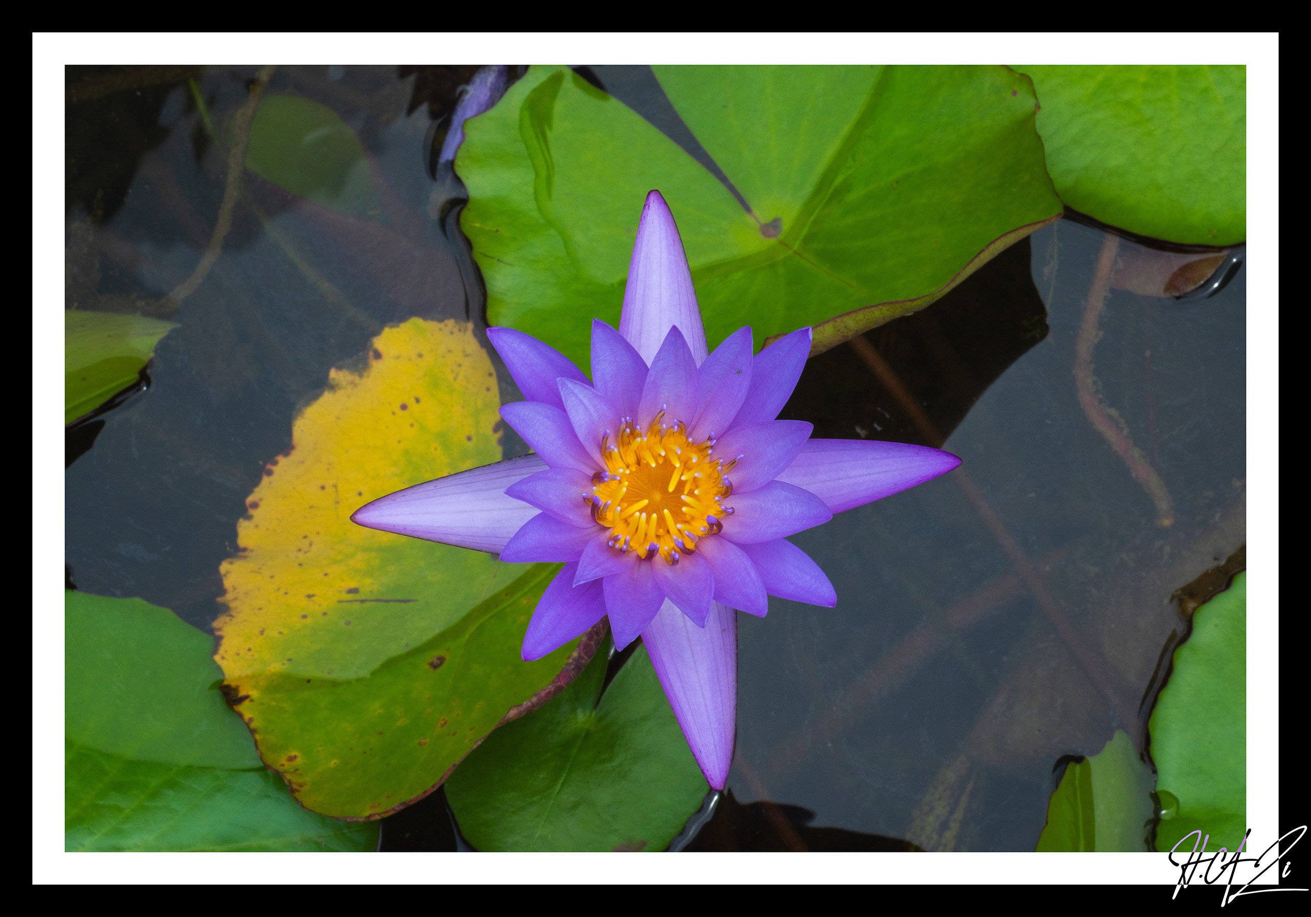 Singapore Image 15