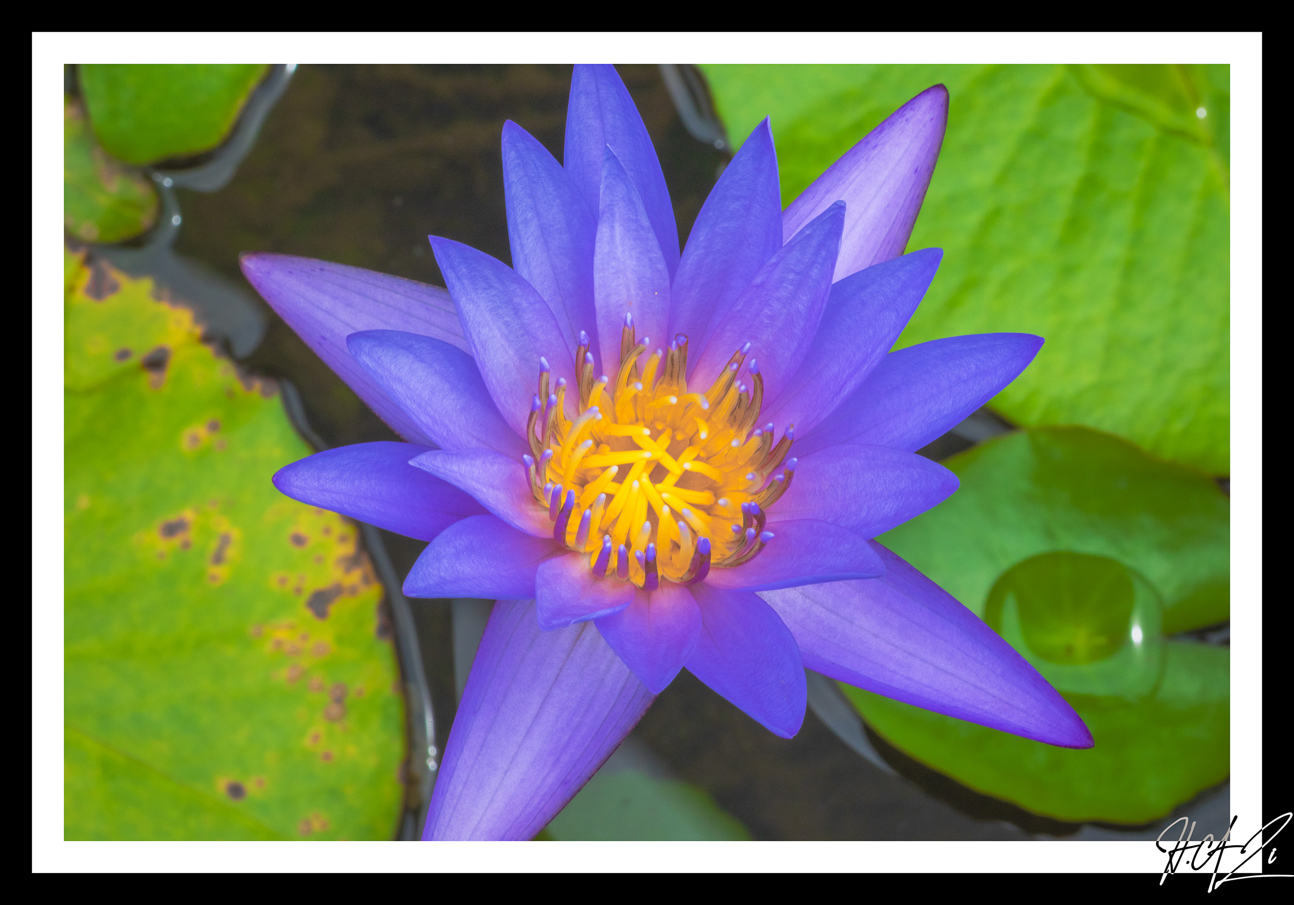 Singapore Image 16