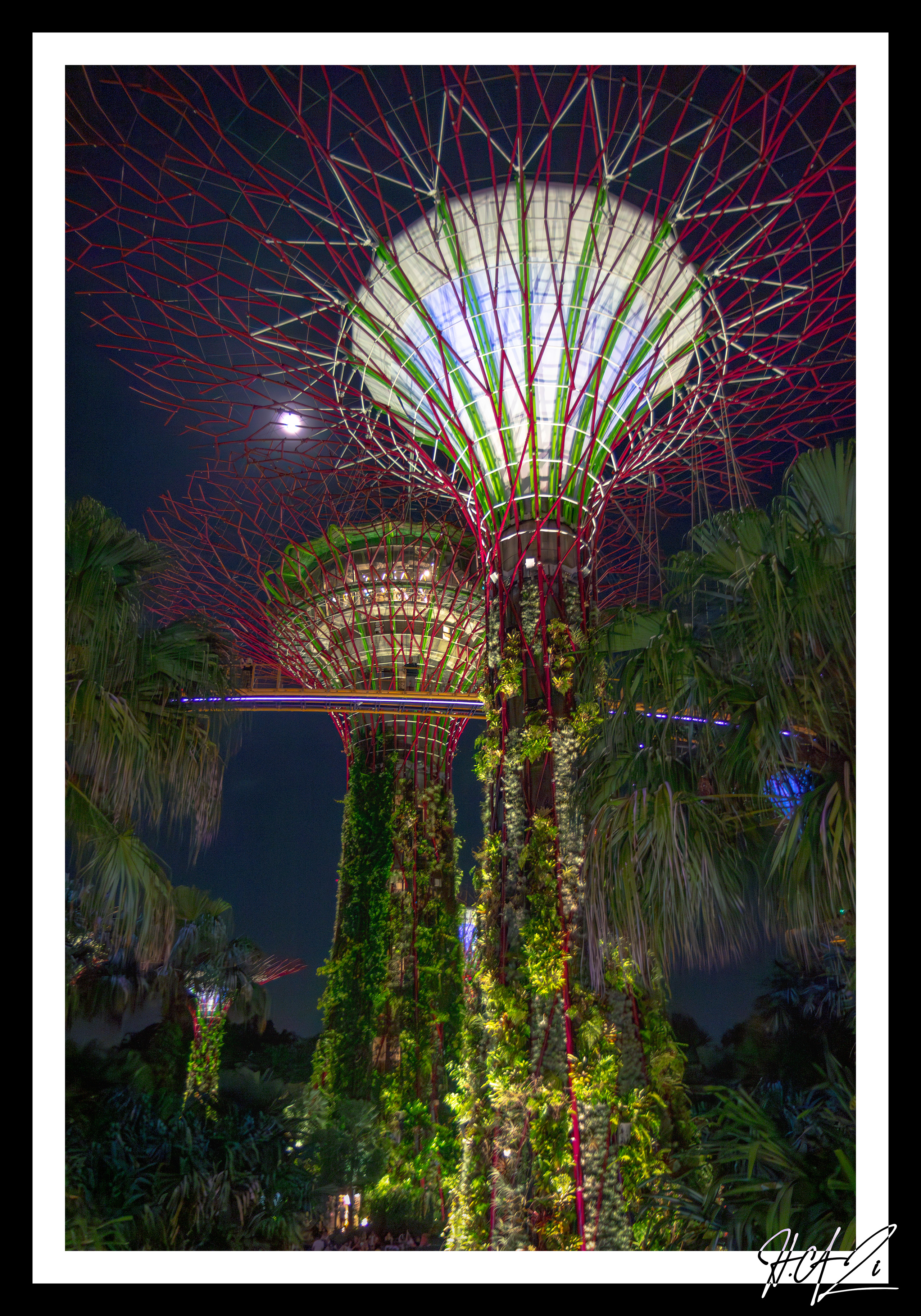 Singapore Image 6