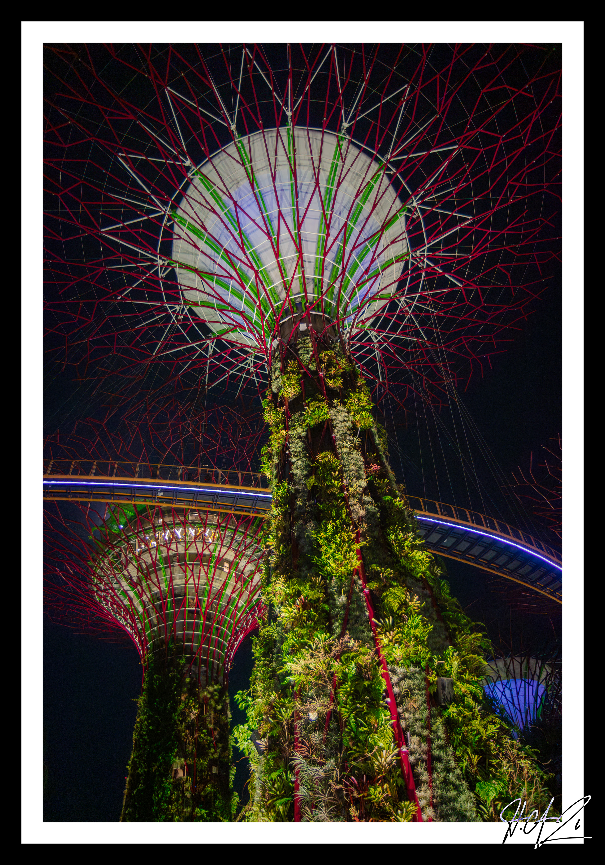 Singapore Image 7